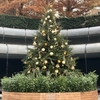 THE CITY BAKERY BRASSERIE RUBIN ＆アークヒルズのクリスマス