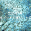2025年1月｜高配当株ポートフォリオと投資状況