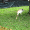 えぃじーちゃんのぶらり旅ブログ～コロナで出戻り 北海道釧路市編 20200806～07