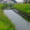 2017年9月7日（木）午後から雨