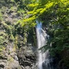 箕面公園の清涼