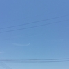 爽やかな青空　ネモフィラ見ごろ