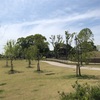 舎人公園で小物釣り　あいつを釣るか捕まえるかしたい