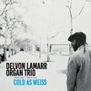 【JAZZ新譜】ハモンドB3の音色が心地よい Cold As Weiss / Delvon Lamarr Organ Trio (2022)