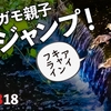 0818【カルガモ親子の段差ジャンプ】スズメ親子が米泥棒とバッタ捕食、イソシギとハクセキレイの水浴び、赤トンボなど【今日撮り野鳥動画まとめ】身近な生き物語