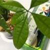 🌟NUTRILITE の TRIPLE X 🌟