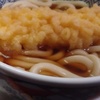 いか天ぷら　うどん