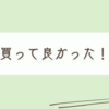 ダイソーで購入した300円のアイテムに感動している