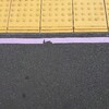 テープの切れ目…