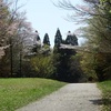 里山の桜　１