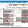 砂浜保全に関する中間取りまとめ(国土交通省)① サーフポイントの情報を発信する重要性