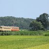 ひたちなか海浜鉄道の復旧を祈る