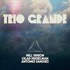 Trio Grande / Gilad Hekselman, Will Vinson, Antonio Sanchez (2020)