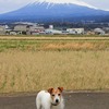 今日ノ黄金