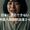 日本に適応できない観光客は強制送還させてくれ！