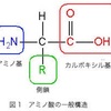 感染からの回復㊙️