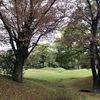 桜土手古墳公園