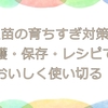 豆苗の育ちすぎ対策｜収穫・保存・レシピでおいしく使い切る