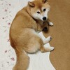 ２日ぶりのおしごと（笑）
