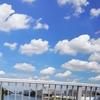 実りの秋実らぬものの哀れかな