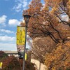 「やまと絵　受け継がれる王朝の美」　東京国立博物館