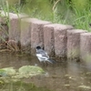 水月公園