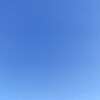 2022年振り返り🐯🎵