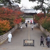 金沢城公園の紅葉「総集編』