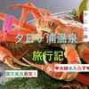 夕日ヶ浦温泉「海花亭 紫峰閣」はここが良かった！6つのおすすめポイント