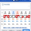 【どうなる？】ついに天使から「10,000歩禁止令」が出たぞ？