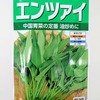 『空芯菜（エンツァイ）』を水耕栽培しましょう。真夏に採れる葉物野菜として活躍する予定です