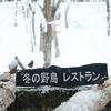 野鳥レストランは冬にしか見れない福井のおすすめスポット