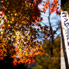 オクシズで紅葉狩り　其の弐　ちょっと寄り道の『炭火焼つくね串』