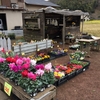 人影のなくて春来る花売り場