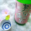 Sake “Takashimizu Haruno-Junmai” (made by Akita Shurui Seizo, Akita city)