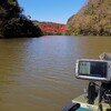 本日は亀山ダム釣行