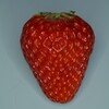  イチゴの断面など