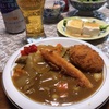 今週１回目の休肝日はカレー