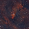 NGC2264 いっかくじゅう座 クリスマスツリー星団