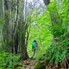【新うつくしま百名山】4月29日昭和の日に古殿町の鎌倉岳（669m）に登った話。【山開き】