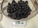 ブラックベリー３回目の収穫