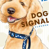 子犬と暮らしていて困る事の〝原因と対策〟みやうち沙矢さん【DOG　SIGNAL(ドッグシグナル)12巻】[あらすじ・漫画紹介・感想]
