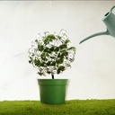 ハジメのブログ