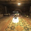 ＦＦ１１日記：ナナー・ミーゴに襲われたけど、ジョブチェンジしたからわからなかったのかな……