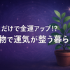 置くだけで金運アップ！？植物で運気が整う暮らし方