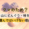 クマのため？山にどんぐり・柿を運んではいけない理由