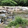 【岡山県北】黒木キャンプ場で水遊び