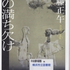 佐藤正午の『月の満ち欠け』を読んだ