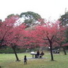 東京庭園