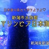 マリンピア日本海（新潟県新潟市）‐イルカショーや絶滅危惧種のペンギン、高級魚のどぐろまで約600種